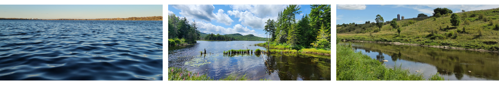 Fonds zoom - PRMHH (2)