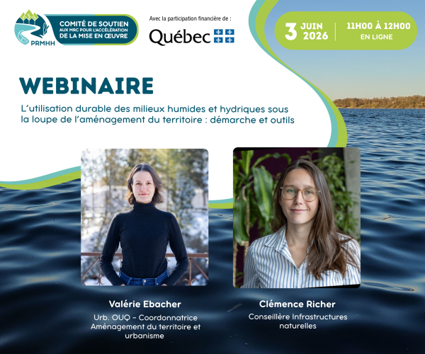Webinaire_VeV_3Juin